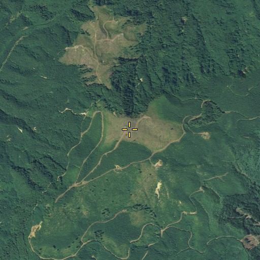 Aerial/Satellite Image of Crown Point, WA