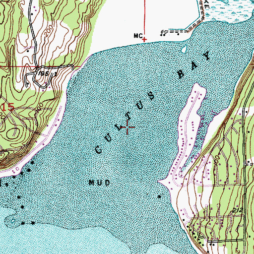 Topographic Map of Cultus Bay, WA