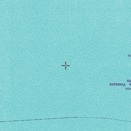 Topographic Map of Danger Shoal, WA