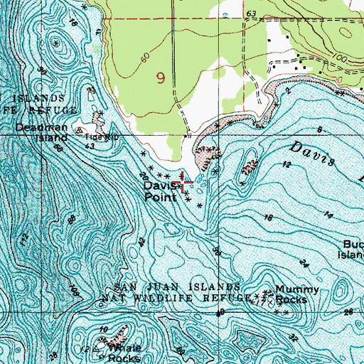 Topographic Map of Davis Point, WA