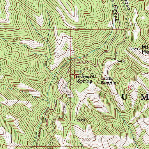 Topographic Map of DeSpain Spring, WA