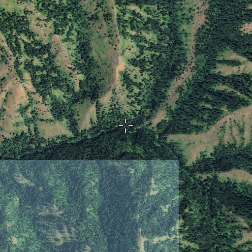 Aerial/Satellite Image of Deadman Creek, WA