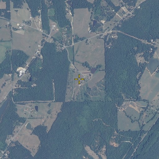 Aerial/Satellite Image of Old Biddle Gap, AL