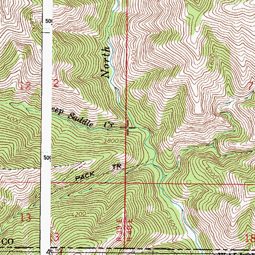 Topographic Map of Deep Saddle Creek, WA