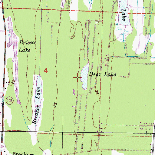 Topographic Map of Deer Lake, WA