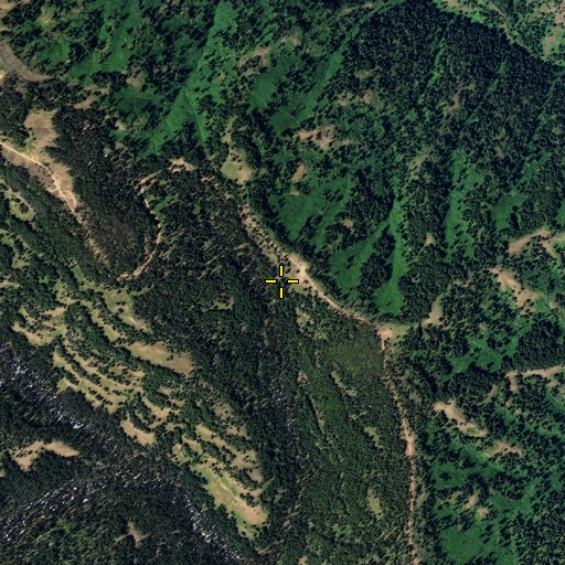 Aerial/Satellite Image of Deer Spring, WA