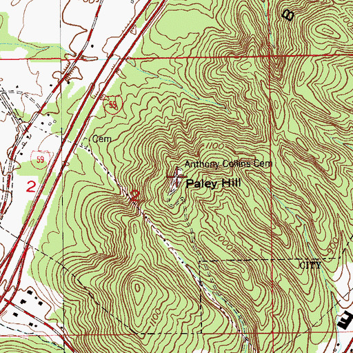 Topographic Map of Paley Hill, AL