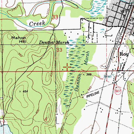 Topographic Map of Denton Marsh, WA