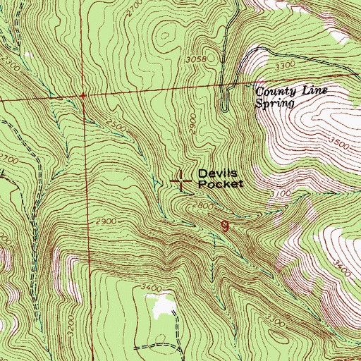 Topographic Map of Devils Pocket, WA