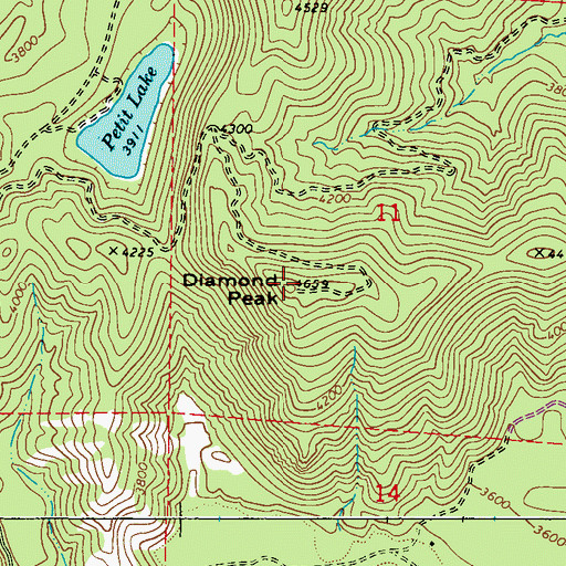 Topographic Map of Diamond Peak, WA
