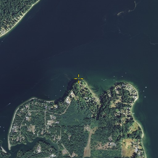 Aerial/Satellite Image of Dickenson Point, WA