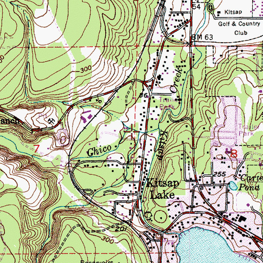 Topographic Map of Dickerson Creek, WA