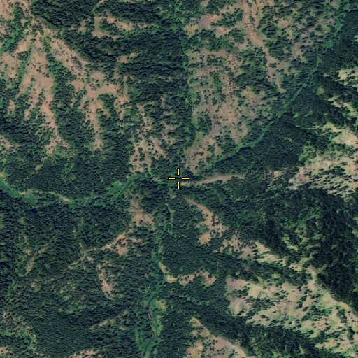 Aerial/Satellite Image of Dickinson Creek, WA