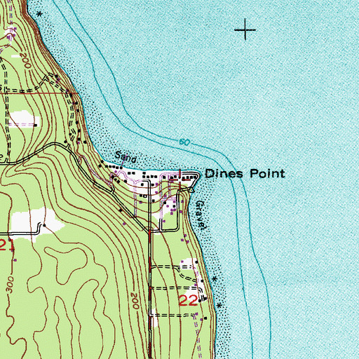 Topographic Map of Dines Point, WA