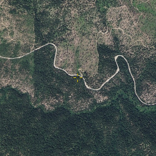 Aerial/Satellite Image of Dodge Point, WA