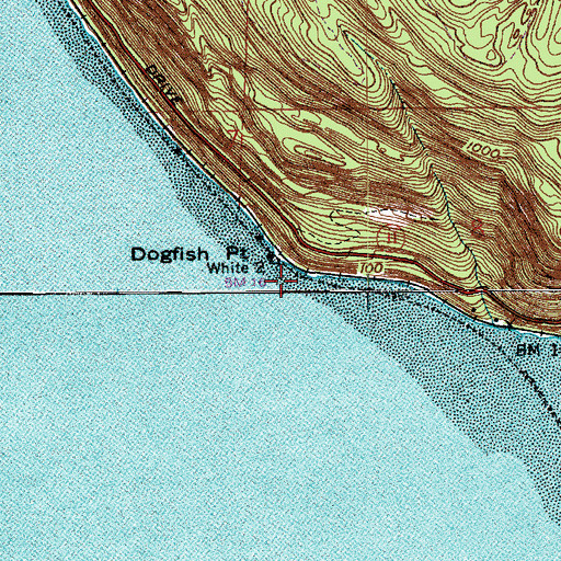 Topographic Map of Dogfish Point, WA