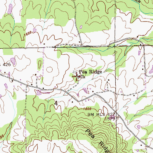 Topographic Map of Pea Ridge Church, AL