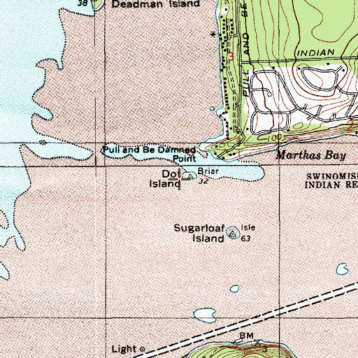 Topographic Map of Dot Island, WA