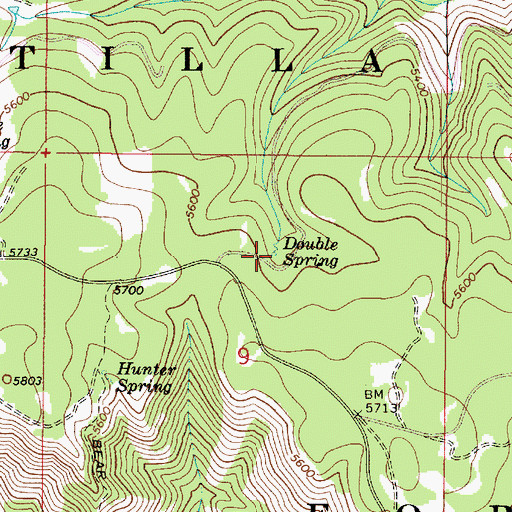 Topographic Map of Double Spring, WA