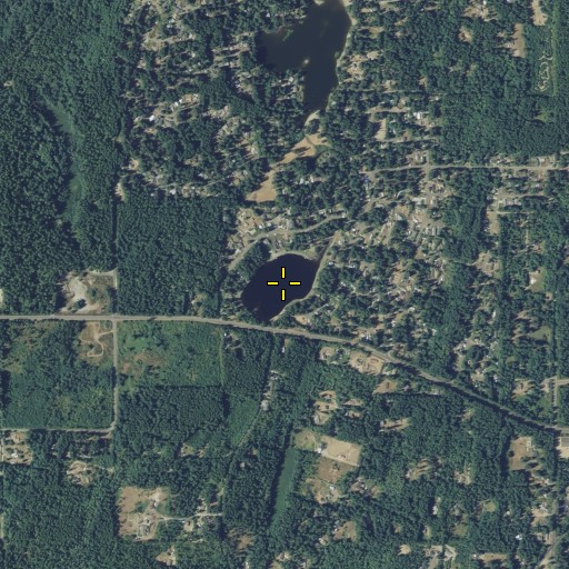 Aerial/Satellite Image of Doyle Pond, WA