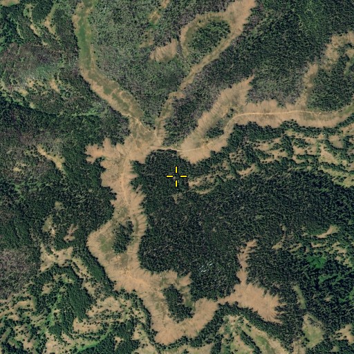 Aerial/Satellite Image of Dunlap Spring, WA