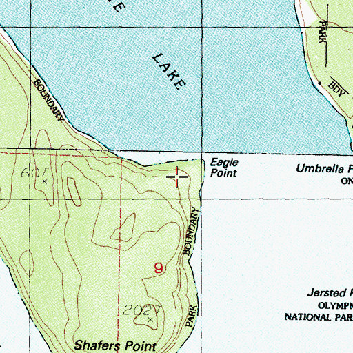 Topographic Map of Eagle Point, WA