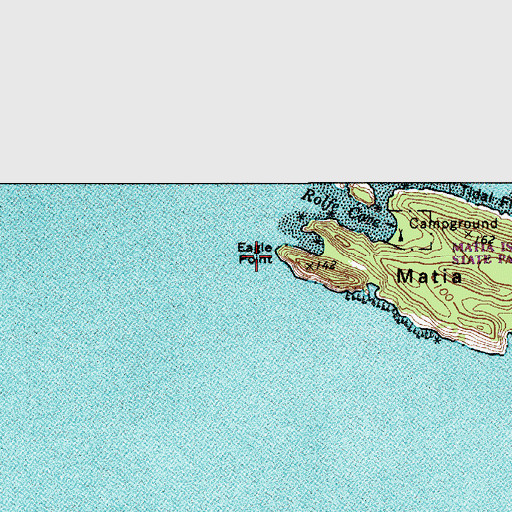Topographic Map of Eagle Point, WA
