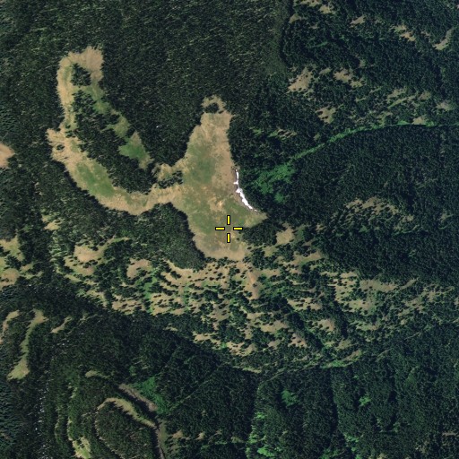 Aerial/Satellite Image of Elk Flat, WA