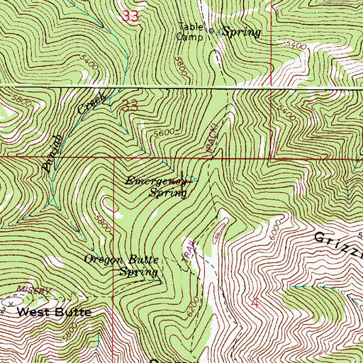 Topographic Map of Emergency Spring, WA