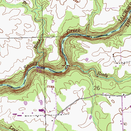 Topographic Map of Reedy Creek, AL
