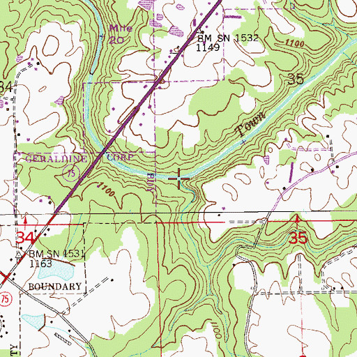 Topographic Map of Reedy Creek, AL