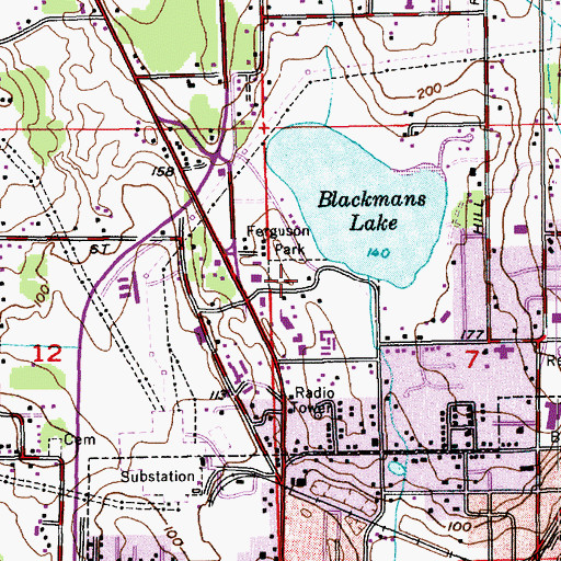 Topographic Map of Ferguson Park, WA