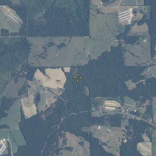 Aerial/Satellite Image of Rockbridge Branch, AL
