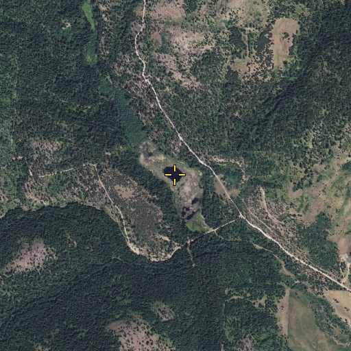 Aerial/Satellite Image of Fish Lake, WA