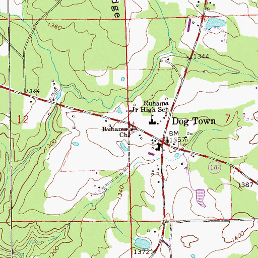 Topographic Map of Ruhama Baptist Church, AL