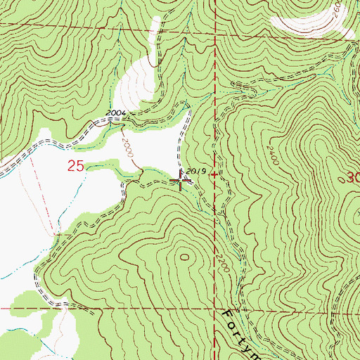 Topographic Map of Fortymile Canyon, WA