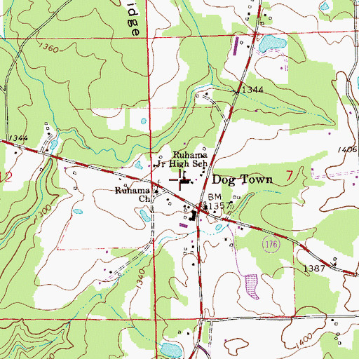 Topographic Map of Ruhama Junior High School, AL