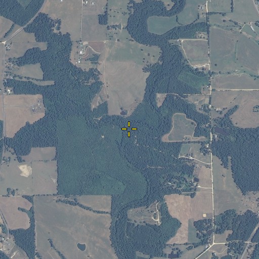 Aerial/Satellite Image of Shumaker Branch, AL