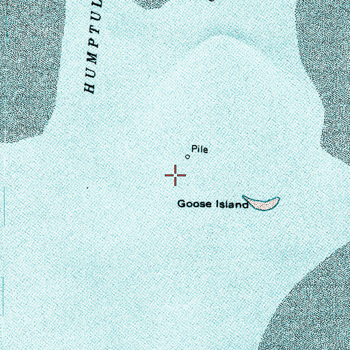 Topographic Map of Goose Island, WA