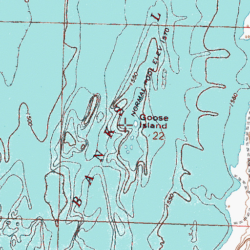 Topographic Map of Goose Island, WA
