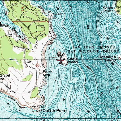 Topographic Map of Goose Island, WA