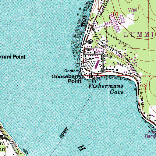 Topographic Map of Gooseberry Point, WA