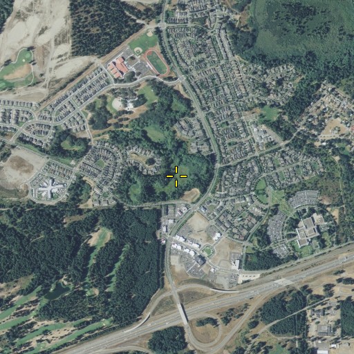 Aerial/Satellite Image of Grant Lake, WA