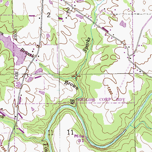 Topographic Map of Sparks Branch, AL