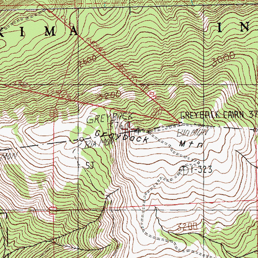Topographic Map of Grayback Mountain, WA