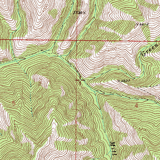 Topographic Map of Green Fork, WA