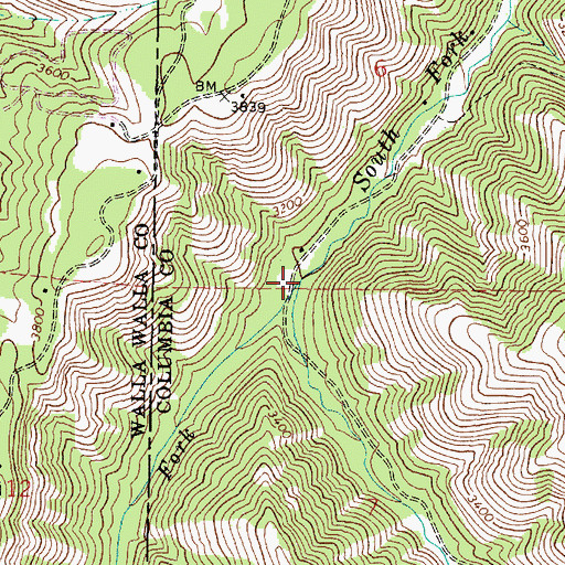 Topographic Map of Green Fork, WA