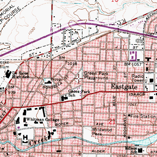 Topographic Map of Green Park Playground, WA