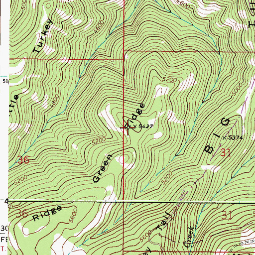 Topographic Map of Green Ridge, WA