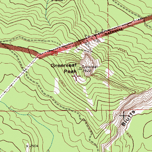 Topographic Map of Greenleaf Peak, WA